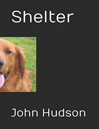 Shelter by John Hudson