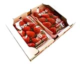 和歌山県産[まりひめ苺2パック]