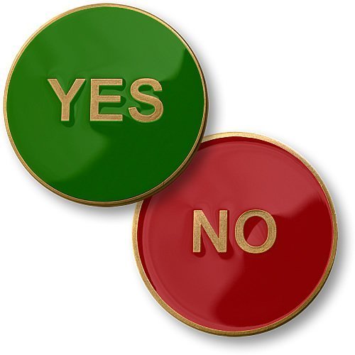 Yes / No - Flipper Coin