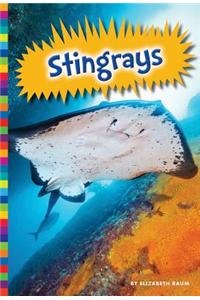 Stingrays by Elizabeth Raum