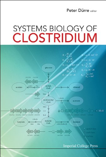 Systems Biology of Clostridium by Peter Durre