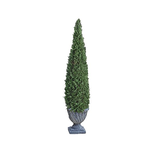 Algopix Similar Product 9 - Design Toscano The Topiary Tree