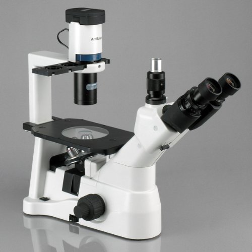 

AmScope IN400TA Long Working-Distance Inverted Trinocular Microscope, 40x-900x, WH10x and WH15x Super-Widefield Eyepieces, Brightfield and Phase-Contrast Objectives, 30W Halogen Illumination, 0.3 NA Abbe Condenser, Plain Stage, 90 to 240V