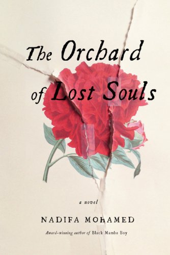 The Orchard of Lost Souls by Nadifa Mohamed