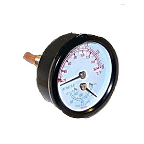 Burnham 10028201 Water Temperature/Pressure Gauge 672616595555 eBay