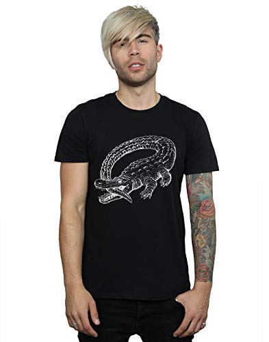 Algopix Similar Product 12 -