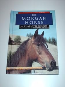 The Morgan Horse (Learning about Horses)