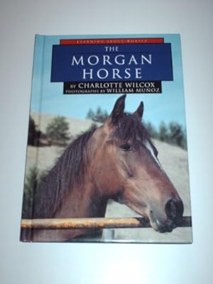 The Morgan Horse (Learning about Horses)