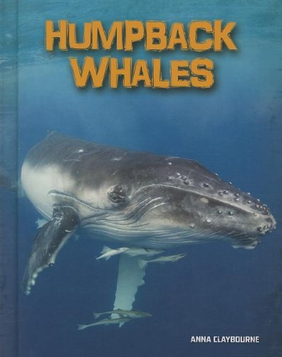 Humpback Whales by Anna Claybourne