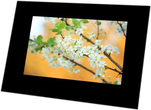 Algopix Similar Product 4 - FOTO Frame 7POLLICI RIS.480X234