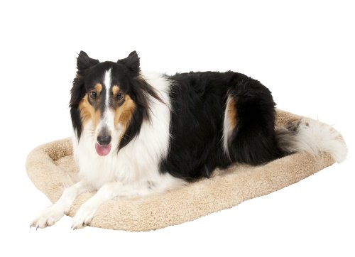 Algopix Similar Product 19 - Aspen Pet Bolster Style Kennel Mat,