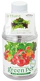 育てるグリーンペット ベジ レタス GD-44502