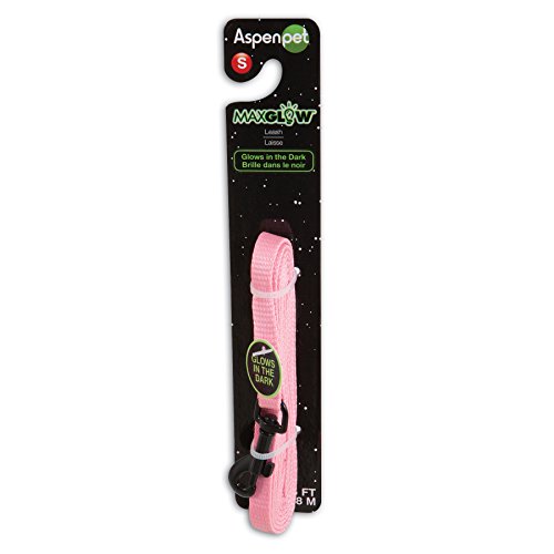 Algopix Similar Product 13 - Petmate Glowin Dark Leash 38 x 6
