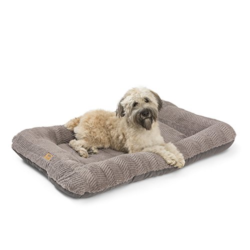 Algopix Similar Product 14 - 