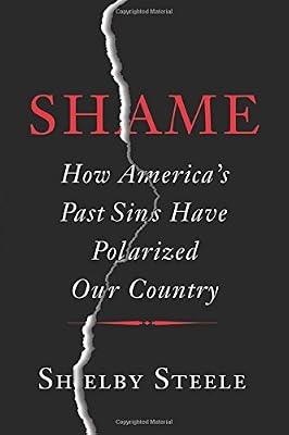 Shame: How America's Past Sins Have Polarized Our Country