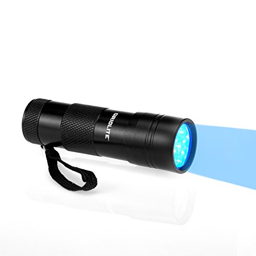 GridLite UV Blacklight Flashlight - Pet Urine Detector - Stain Detector - 12 UV LEDS - Image 4