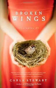 Broken Wings: A Novel