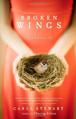 Broken Wings: A Novel