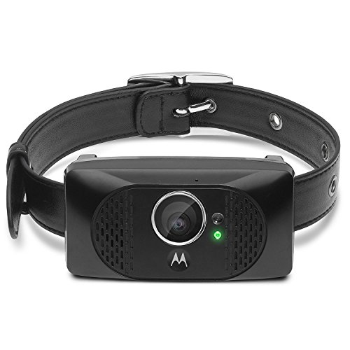 Algopix Similar Product 15 - Motorola SCOUT5000 Wearable HD Pet
