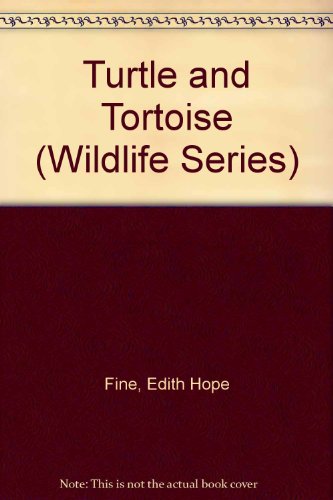 Turtle and Tortoise by Edith Hope Fine