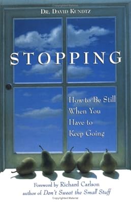 Stopping: How to Be Still When You Have to Keep Going