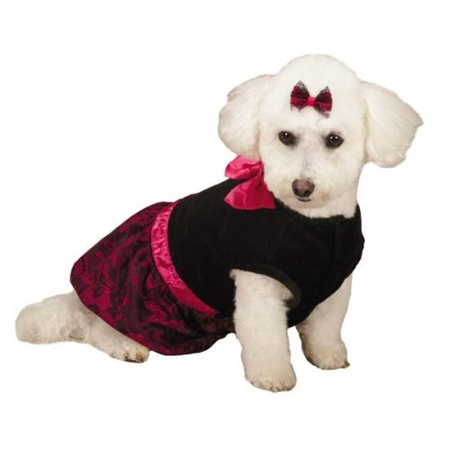 

Zack & Zoey Heritage Collection Lace Print Dress for Pets, Small, Black
