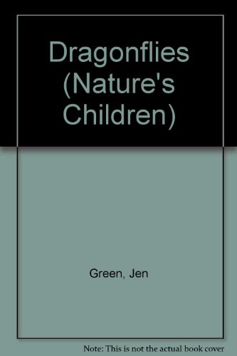 Toucans by Lorien Kite