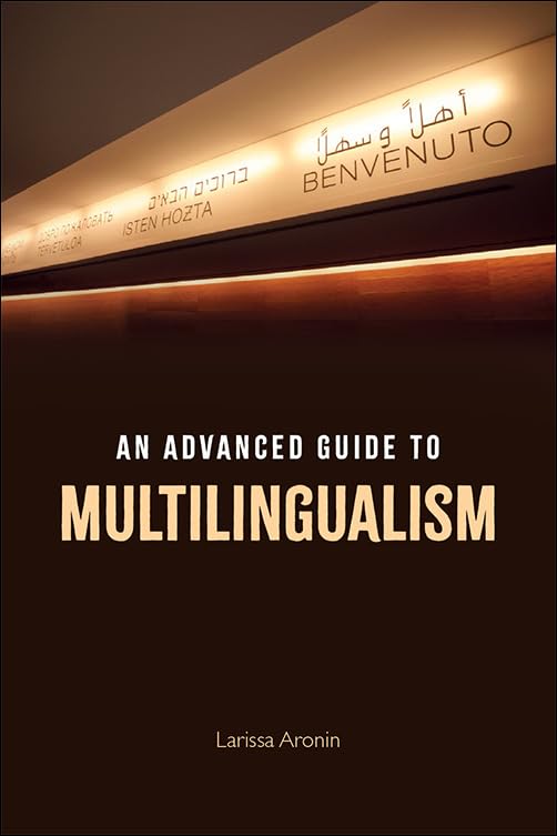 An Introduction to Multilingualism: An Advanced Guide to Multilingualism by Larissa Aronin