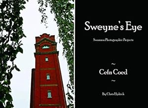 Sweyne's Eye: Swansea Photographic Projects by Chris Elphick