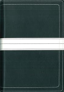 07 Spring Promo Gift Bible 2 - Wal-Mart