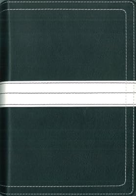 07 Spring Promo Gift Bible 2 - Wal-Mart