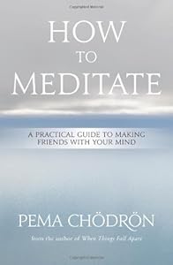 How to Meditate: A Practical Guide to Making Friends with Your Mind by Pema Chödrön