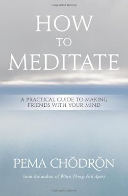 How to Meditate: A Practical Guide to Making Friends with Your Mind