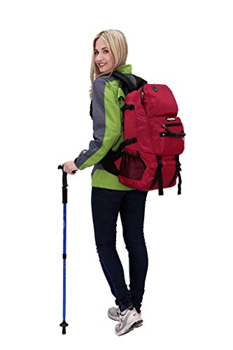 

Paladineer Foldable Hiking Backpack and Folding Handy Backpack Daypack and Climbing Camping Outdoor Sports Travel Backpack Bag and Backpack for Travel Hiking Climbing Cycling Running Camping Outdoor Sports 40L