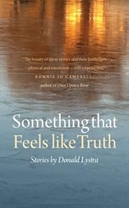 Something That Feels Like Truth by Donald Lystra