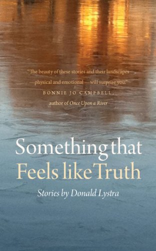 Something That Feels Like Truth by Donald Lystra