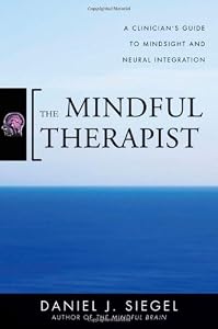 The Mindful Therapist: A Clinician's Guide to Mindsight and Neural Integration