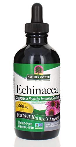 Algopix Similar Product 1 - Natures Answer AlcoholFree Echinacea