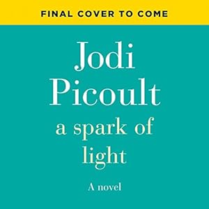 A Spark of Light: A Novel