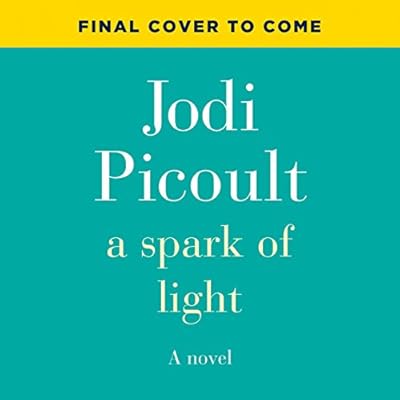 A Spark of Light: A Novel