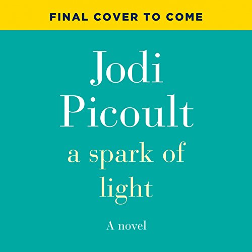 A Spark of Light: A Novel by Jodi Picoult
