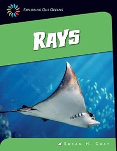 Rays by Susan H. Gray