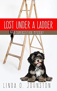 Lost Under A Ladder