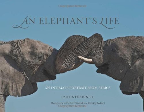 An Elephant's Life: An Intimate Portrait from Africa by Caitlin O'Connell