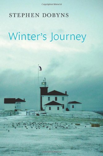 Winter's Journey by Stephen Dobyns