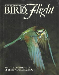 Bird Flight: An Illustrated Study of Birds' Aerial Mastery by Robert Burton