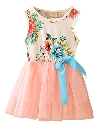 Theplus Little Girls Sleeveless Floral Princess Dress Tulle Tutu Sundress