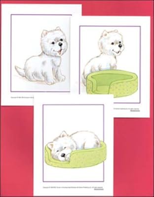 Sequence Picture Cards -Level 1, Set 3 -Contains221 3-Card Sequences (63 Cards)