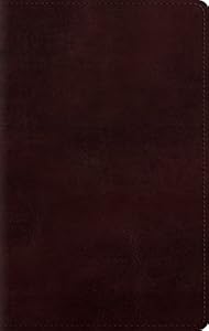 ESV Large Print Personal Size Bible