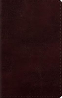 ESV Large Print Personal Size Bible